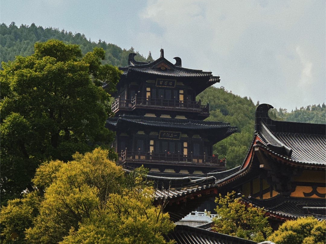 1690763960927052.jpg 1690763960927052.jpg